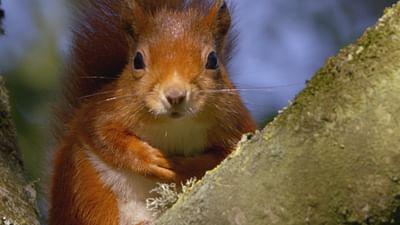Wales: Entlang des Wassers