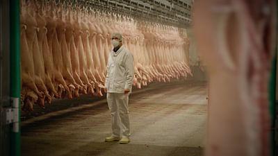 Wen dürfen wir essen?: Natürlich, notwendig, normal