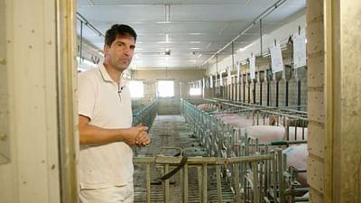 Wen dürfen wir essen?: Der Status Quo