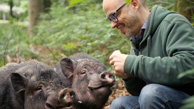 Wen dürfen wir essen?: Das Ende des Fleischzeitalters