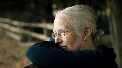 Wen dürfen wir essen?: Fleisch aus dem Labor