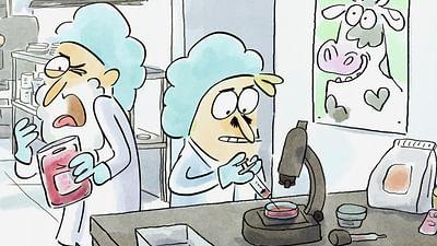 Wer nicht fragt, stirbt dumm!: Wie züchte ich mein eigenes Fleisch?
