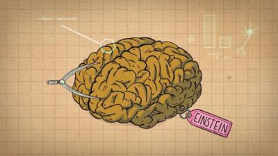 Wie wird man ein Genie?: 42 - Die Antwort auf fast alles