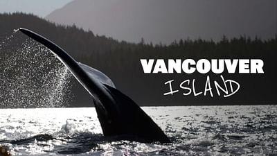 Wilde Inseln: Vancouver Island Wilde Inseln: Vancouver Island