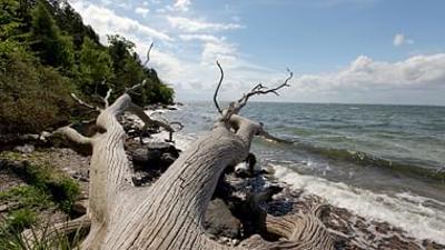 Wilde Ostsee: Von Dänemark bis Lettland