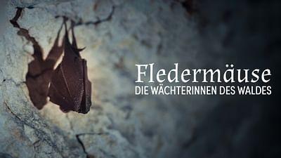 Wilde Welten: Fledermäuse, die Wächterinnen des Waldes