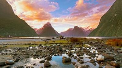 Wildes Neuseeland: Kampf ums Paradies