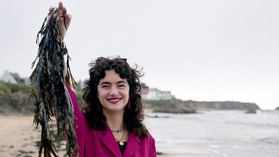 Zu Tisch: Aus dem Meer: Algen