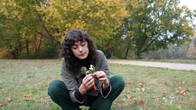 Zu Tisch: Wildkräuter