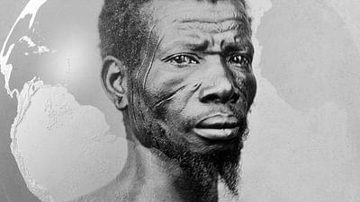 Zucker: Genuss um welchen Preis? (1/2)