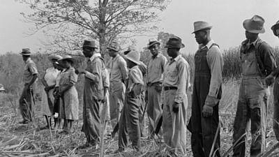 Zucker: Genuss um welchen Preis? (2/2)