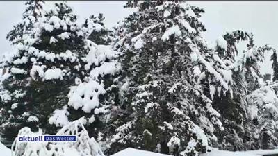 Aktuell: Das Wetter: vom 20.01.2026