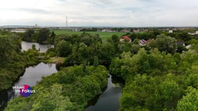 Aktuell: Im Fokus: Staffel 2025 Folge 150 Im Fokus: Lobau-Tunnel