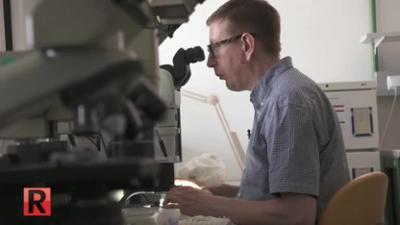 ATV Die Reportage: Staffel 264 Folge 1 ATV Die Reportage - Viren