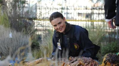 Bones - Die Knochenjägerin: Klebt eine Leiche am Künstler ...