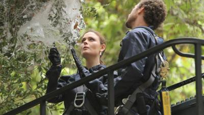 Bones - Die Knochenjägerin: Staffel 8 Folge 11 Die Jahrtausende und die Gewalt