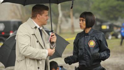Bones - Die Knochenjägerin: Staffel 7 Folge 9 Das Blaue vom Himmel