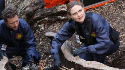 Bones - Die Knochenjägerin: Zerfallen zwischen Baum und Borke