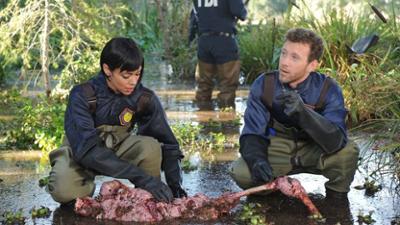 Bones - Die Knochenjägerin: Staffel 9 Folge 21 Eine Eiszeit vor dem Ende