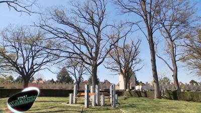 Das Stadtmagazin: vom 24.05.2025