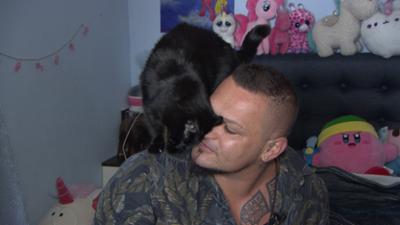 Fast reich & schön: Staffel 1 Folge 6 Katzen, Küsse und Karriereträume