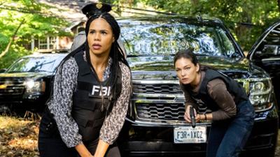 FBI: Most Wanted: Staffel 4 Folge 4 Schatzsuche