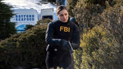 FBI: Special Crime Unit: Staffel 8 Folge 18 Nachahmungstäter