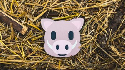 Forsthaus Rampensau: Staffel 2 Folge 7 Showdown im Herzschlagfinale