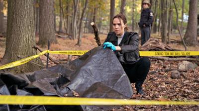 Lincoln Rhyme: Der Knochenjäger: Staffel 1 Folge 4 Friedhof der Freiwilligen