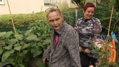 Mein Gemeindebau: Staffel 10 Folge 5 Je größer, desto besser