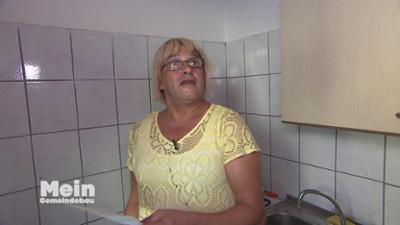 Mein Gemeindebau: Staffel 03 Folge 06 - Mein Gemeindebau