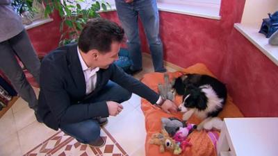 Mein Recht! Ich geb nicht auf: Staffel 07 Folge 01 - Mein Recht! Ich geb nicht auf