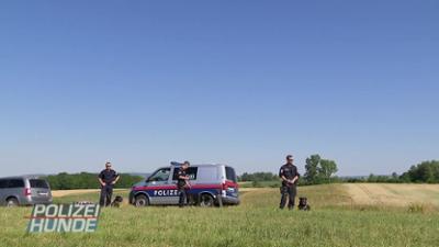 Polizeihunde - Verbrecherjagd mit Biss!: Staffel 1 Folge 1
