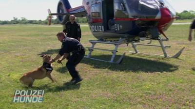 Polizeihunde - Verbrecherjagd mit Biss!: Staffel 1 Folge 2