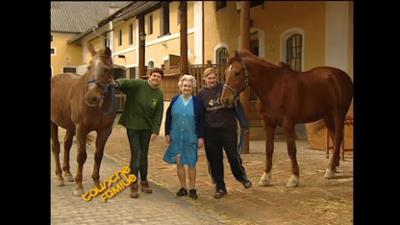 Tausche Familie: Staffel 14 Folge 5 - Plasch vs. Schwaiger/Kapeller