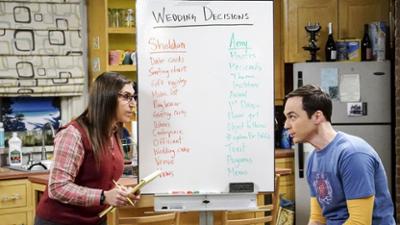 The Big Bang Theory: Staffel 11 Folge 10 Das Hochzeitsplanungs-System