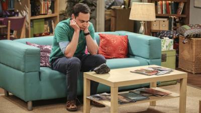 The Big Bang Theory: Staffel 11 Folge 7 Die Geologen-Peinlichkeit