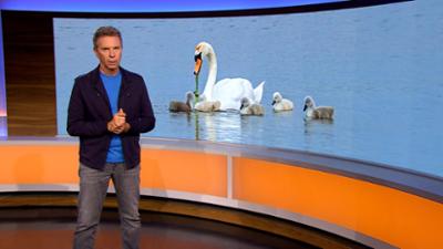 Abendschau: Sendung  · Alles was Bayern bewegt