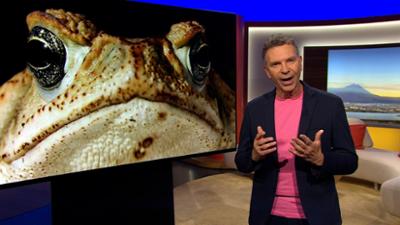 Abendschau: Sendung  · Das bewegt Bayern heute