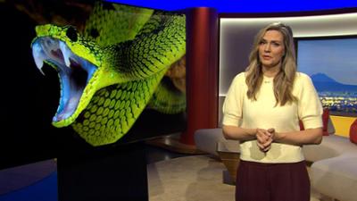 Abendschau: Sendung  · Das bewegt Bayern heute