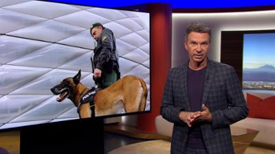 Abendschau: Sendung · Das bewegt Bayern heute Abendschau: Sendung · Das bewegt Bayern heute