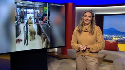 Abendschau: Sendung  · Alles was Bayern bewegt