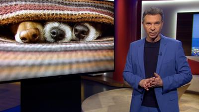 Abendschau: Sendung  · Alles was Bayern bewegt