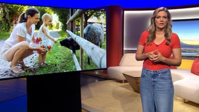 Abendschau: Sendung · Das bewegt Bayern heute Abendschau: Sendung · Das bewegt Bayern heute