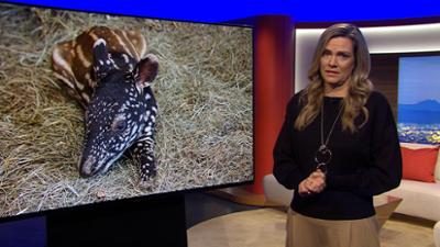 Abendschau: Sendung  · Alles was Bayern bewegt