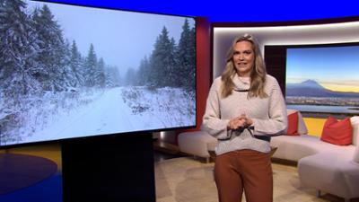 Abendschau: Sendung  · Das bewegt Bayern heute