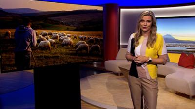Abendschau: Sendung · Das bewegt Bayern heute Abendschau: Sendung · Das bewegt Bayern heute