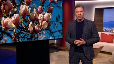 Abendschau: Sendung  · Alles was Bayern bewegt