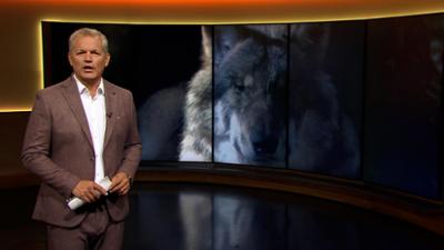 Abendschau - Der Süden: Das Wichtigste aus Südbayern