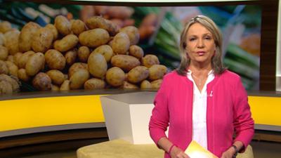 Abendschau - Der Süden: Sendung  · Das Wichtigste aus Südbayern